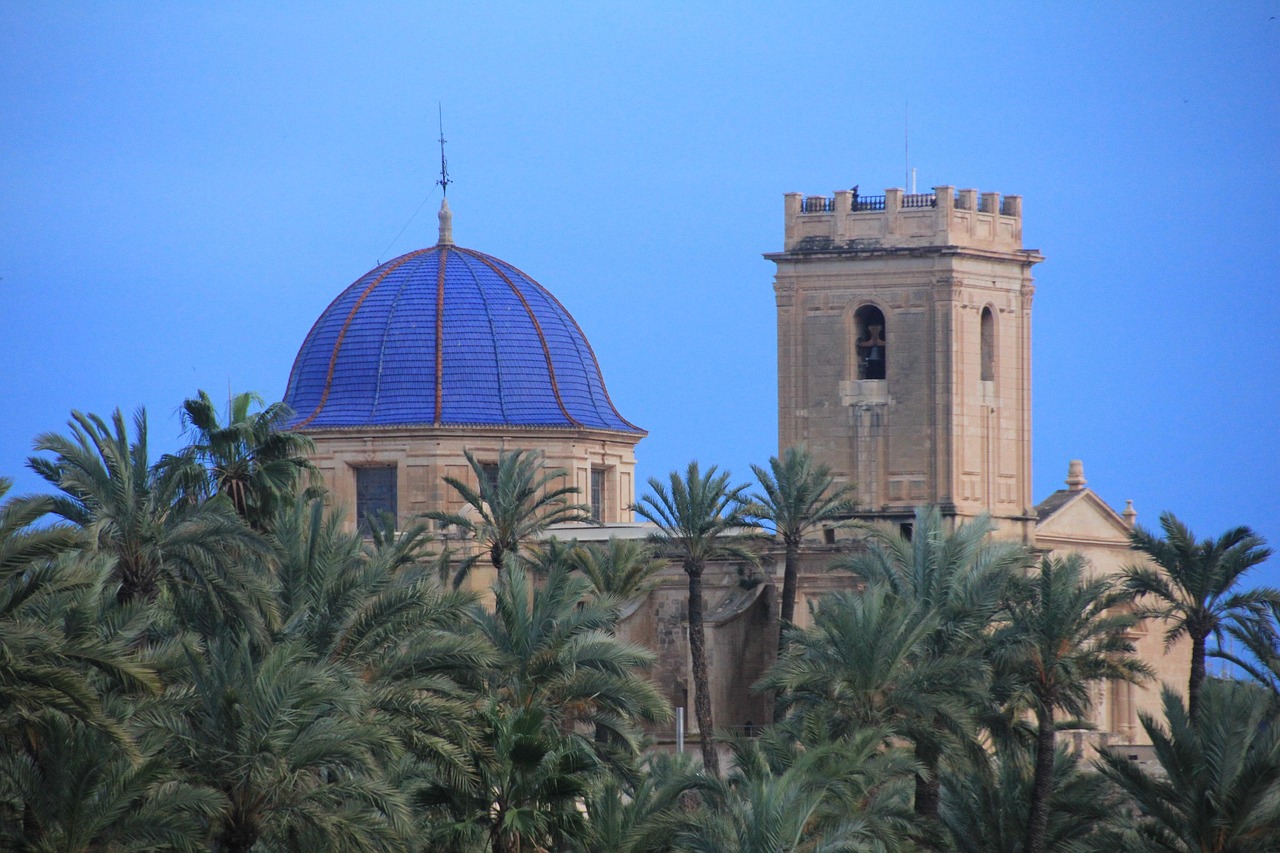 El Palmeral de Elche: qué es y cómo recorrerlo