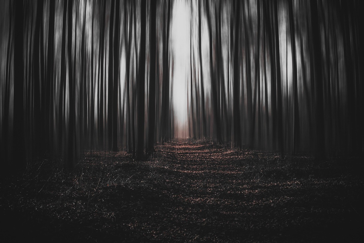 El Misteri d’Elx: qué es y cómo verlo