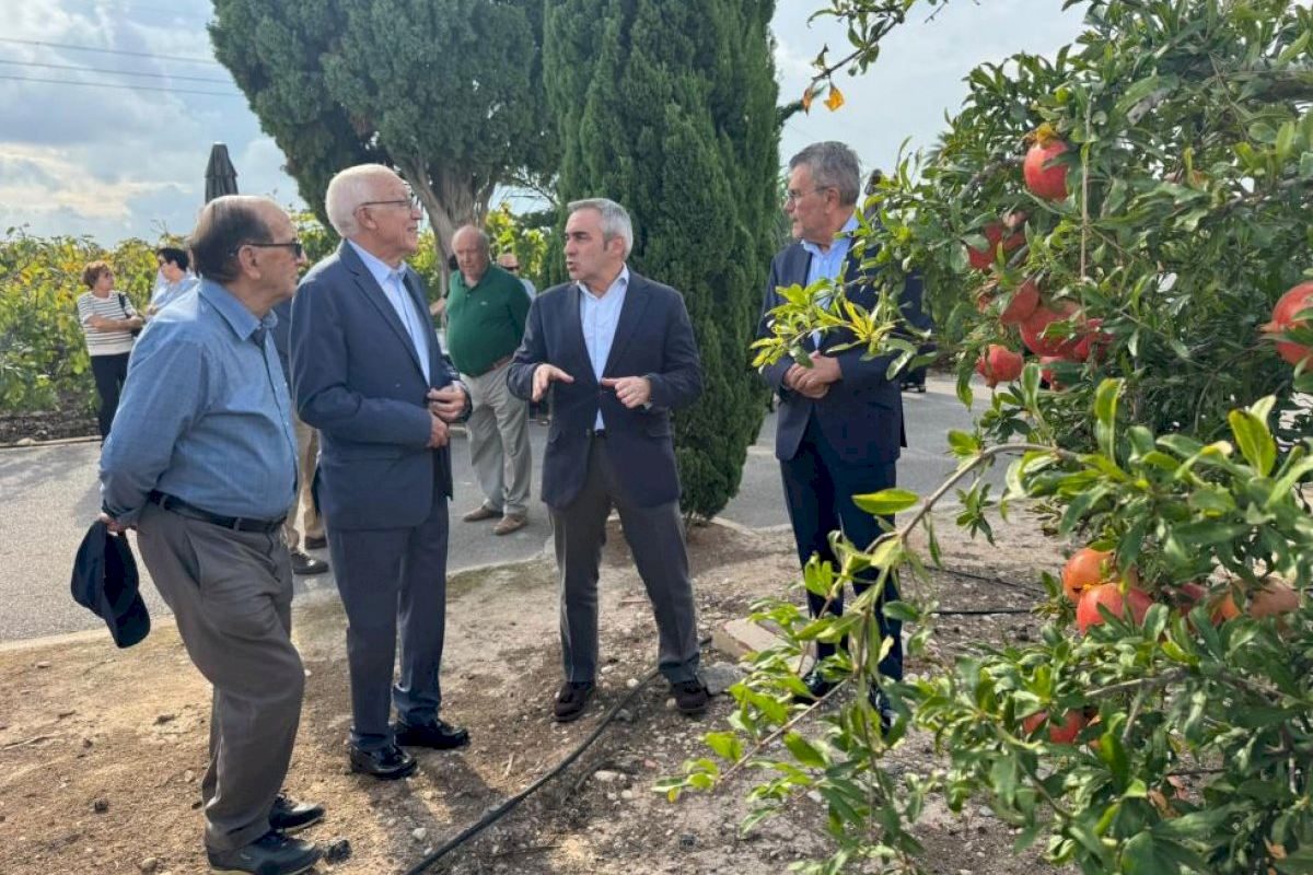 Barrachina reivindica la granada mollar de Elche y defiende el agua como garantía del futuro del campo